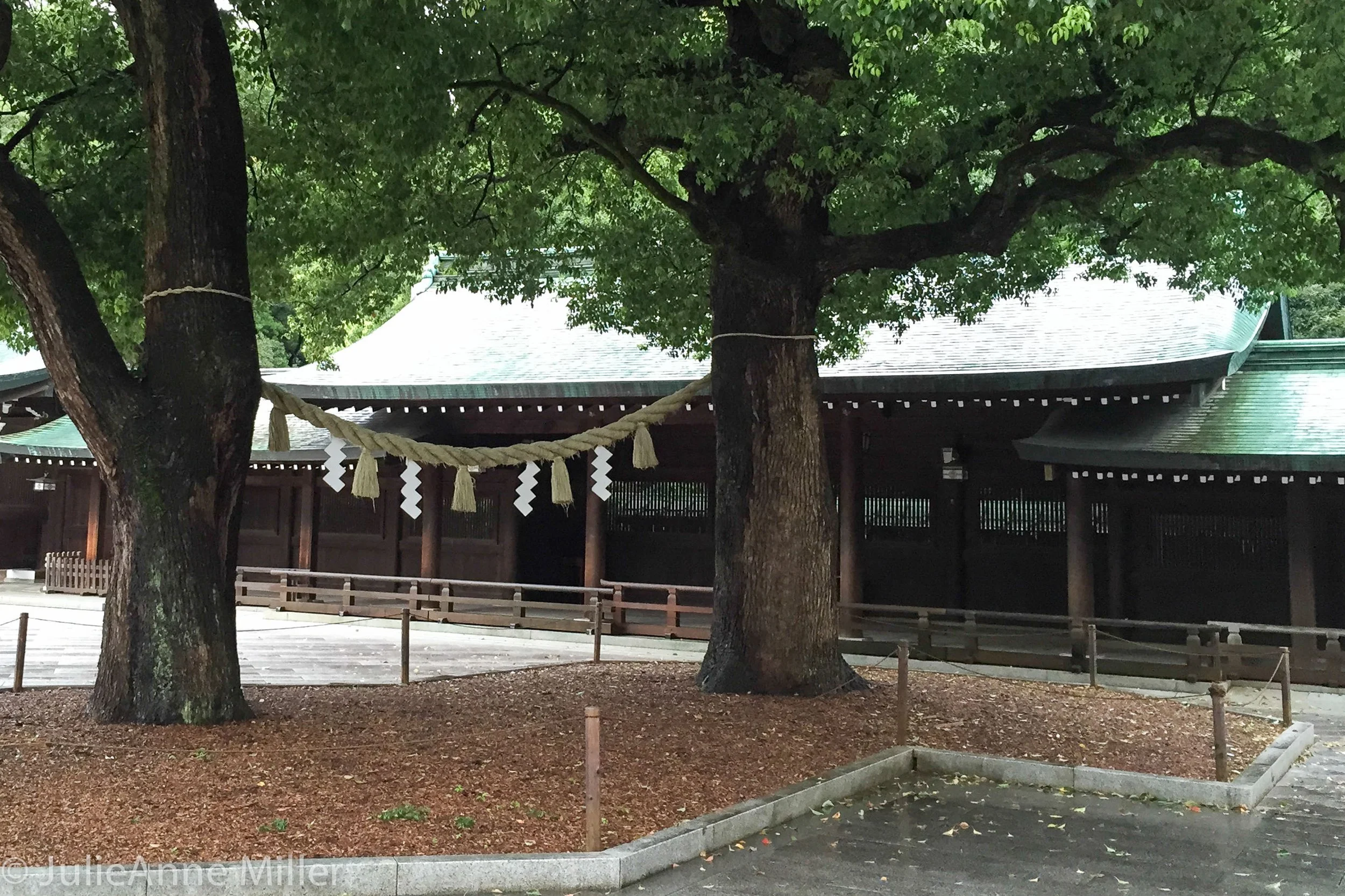 Meiji Shrine, Tokyo — Travel Is Zen